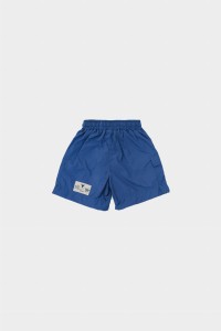 239 cargo niebieskie1.jpg