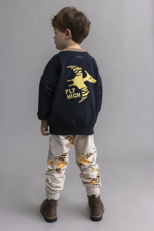 bluza pterodaktyl3.jpg