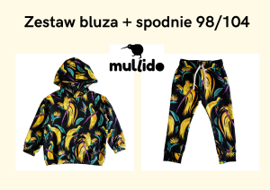 Bluza kangurka z kapturem Cudowronki i spodnie Cudowronki 98/104 Mullido