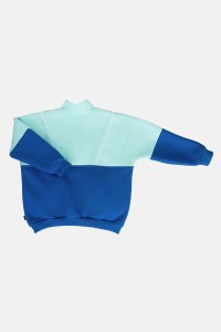 ICE ZIP-UP SWEATSHIRT back.jpg