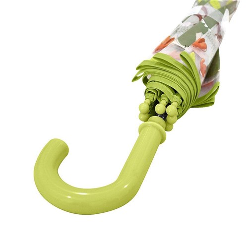 parasol dinozaur2.jpg