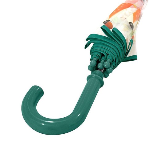 parasol lisek2.jpg