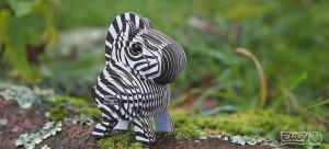 zebra2.jpg