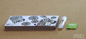 zebra4.jpg