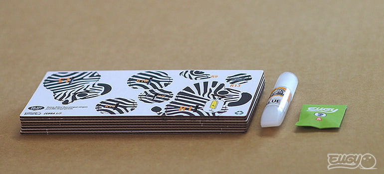 zebra4.jpg