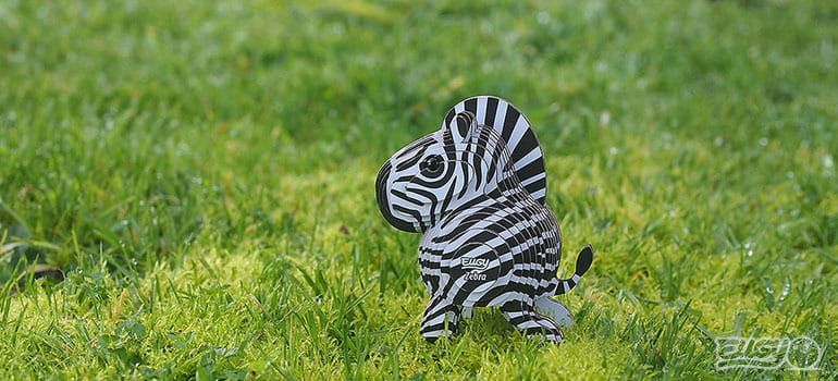 zebra9.jpg