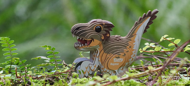raptor9.jpg