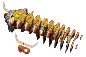 krowa szkocka3.png