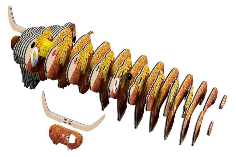 krowa szkocka3.png