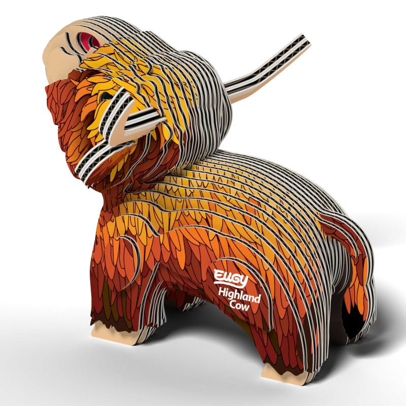 krowa szkocka4.png