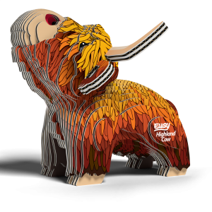 krowa szkocka5.png