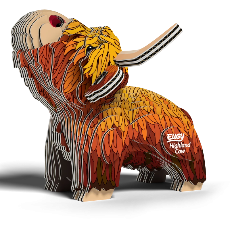 krowa szkocka5.png