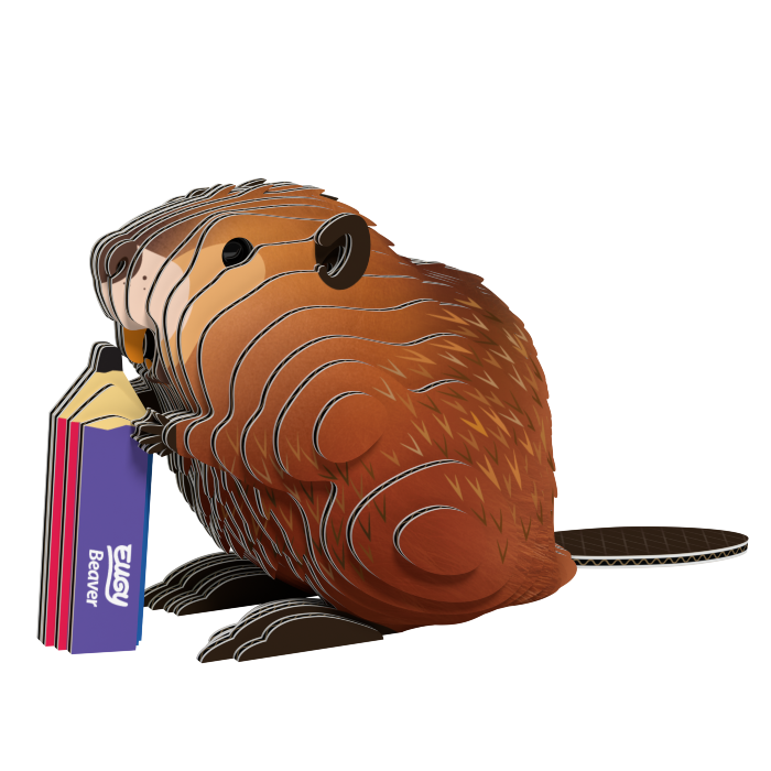 bóbr2.png