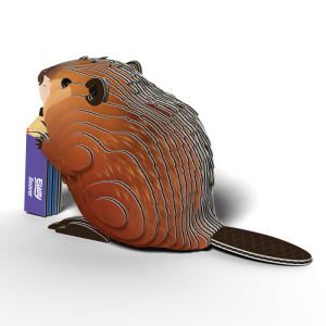 bóbr4.png