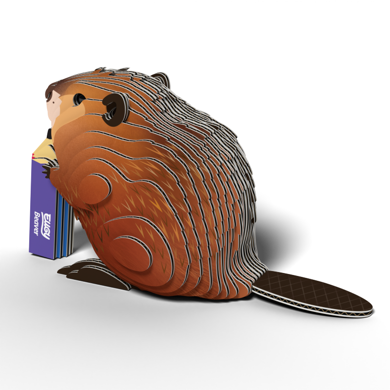 bóbr4.png