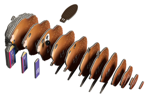 bóbr5.png