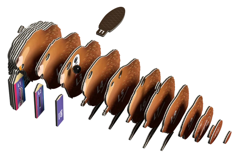bóbr5.png