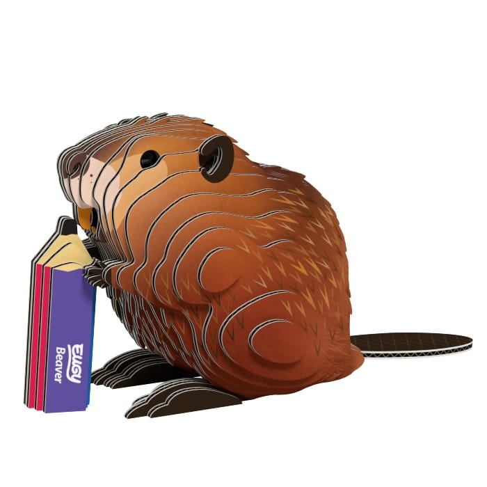bóbr6.jpg