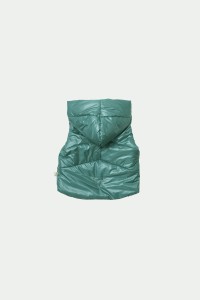 ocean vest tył.jpg