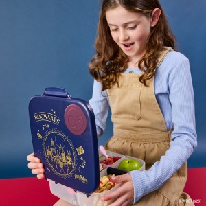lunchbox potter3.jpg
