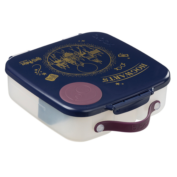 lunchbox potter5.jpg