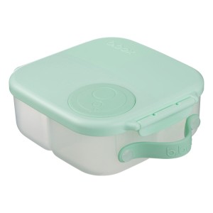 mini lunchbox spearmint1.jpg