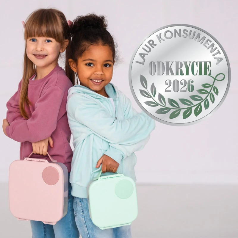 mini lunchbox4.jpg