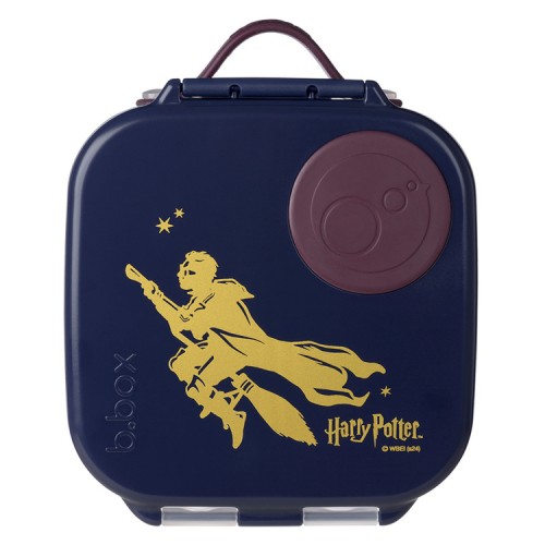 mini lunchbox potter.jpg