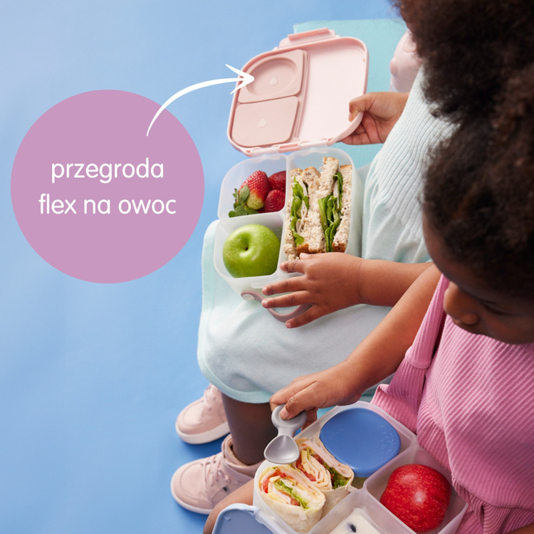 mini lunchbox.jpg