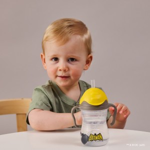 bidon 240 ml batman8.jpg
