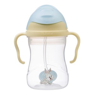 bidon 240 ml looney.jpg
