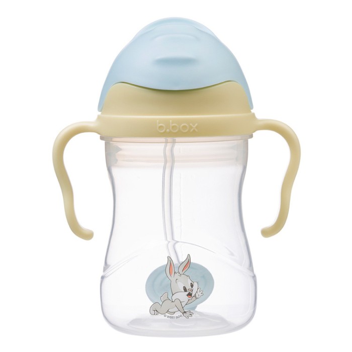 bidon 240 ml looney.jpg