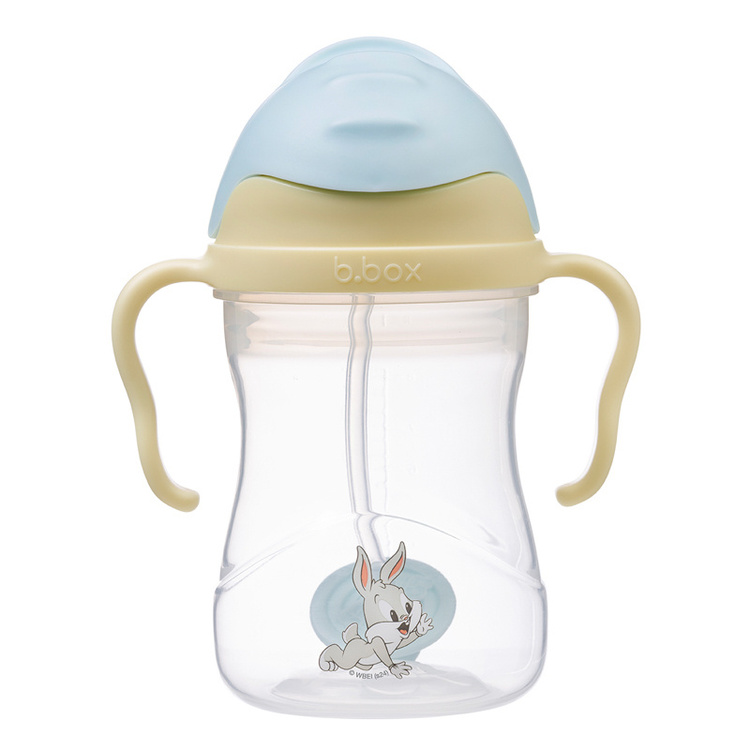 bidon 240 ml looney.jpg