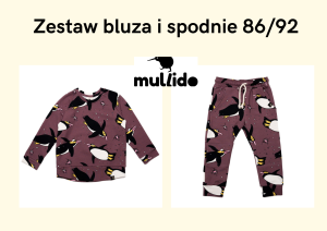 Zestaw bluza i spodnie pingwiny Hoiho purpurowe 86/92 Mullido