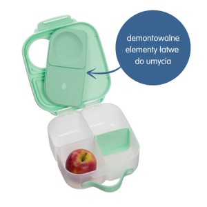 mini lunchbox1.jpg