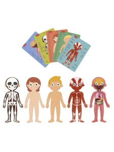 ciało puzzle edukacyjne2.jpg