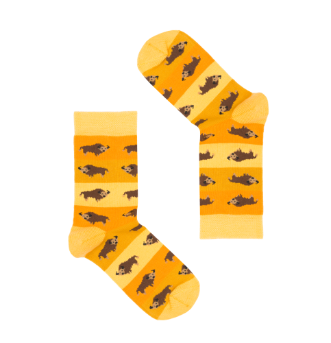 3_2Z.png
