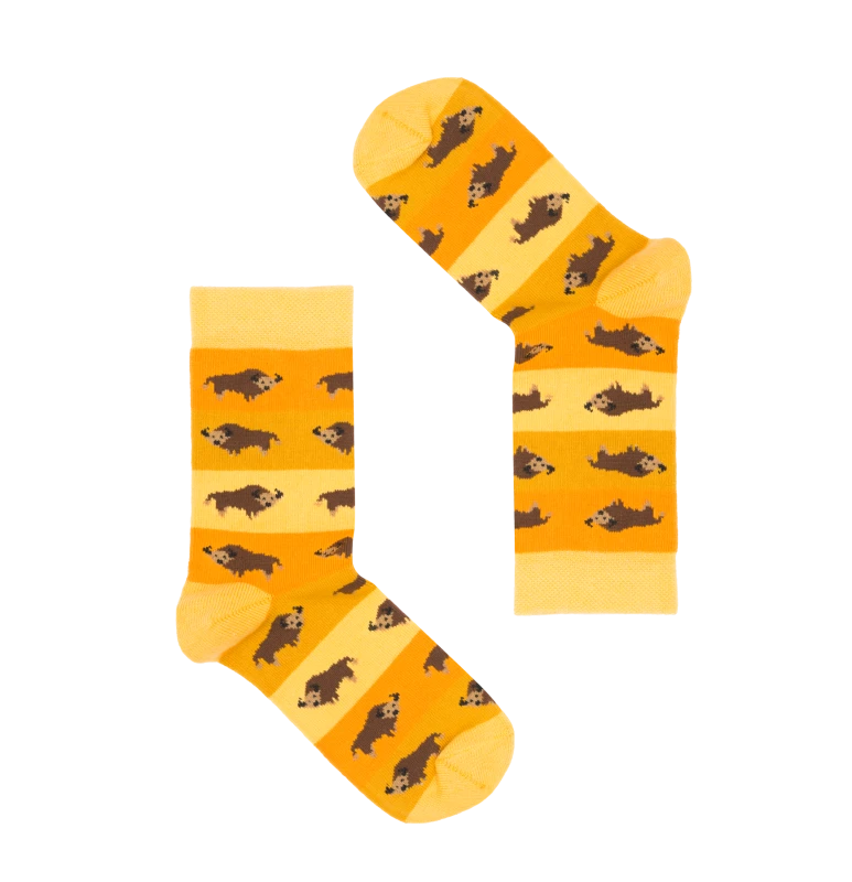 3_2Z.png