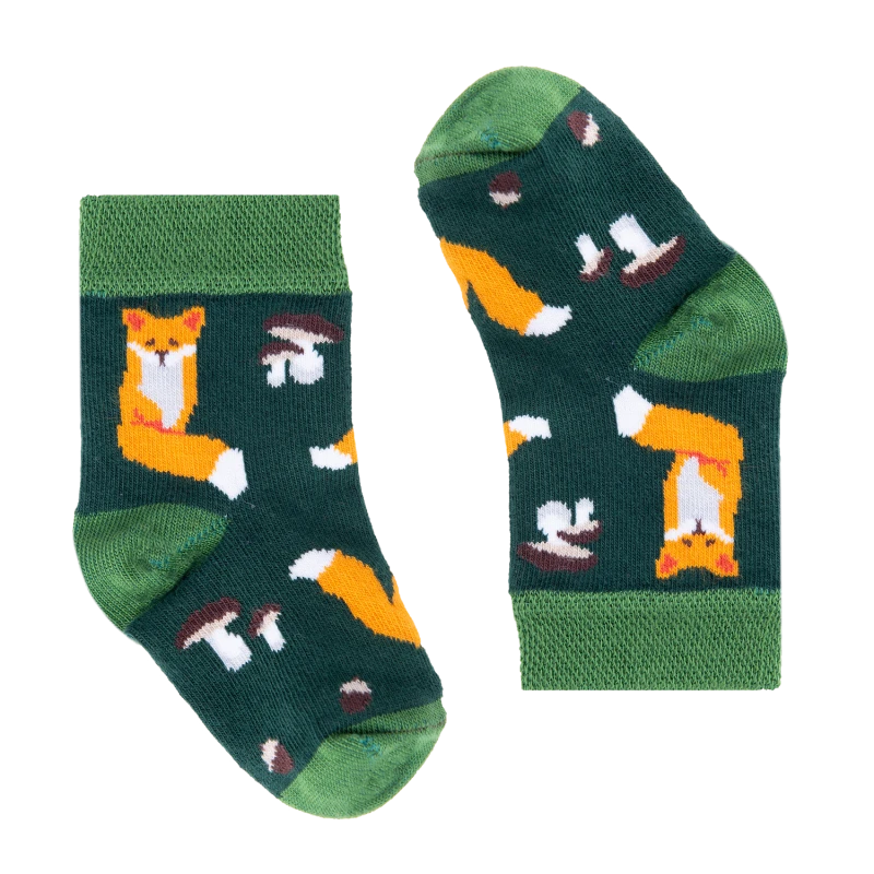 11_1.png