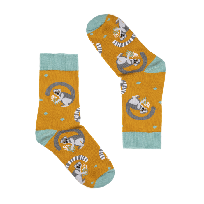 lemur.jpg