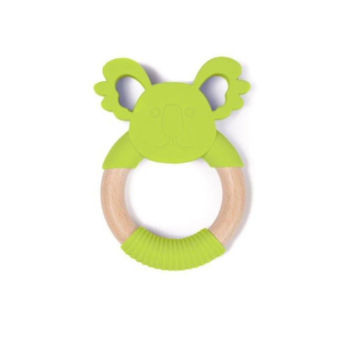 gryzak koala1.jpg