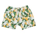 szorty papugi.jpeg