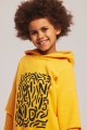 vincent hoodie2.jpg