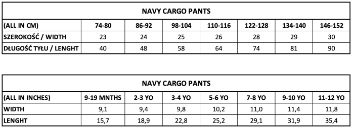 NAVY-CARGO-PANTS.png