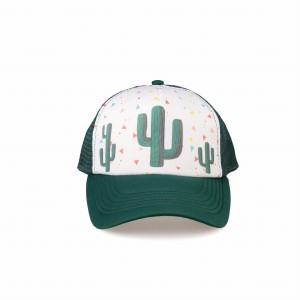 2_cactus_samll.jpg