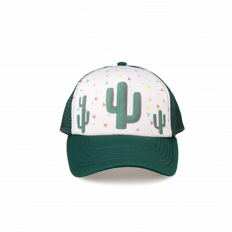 2_cactus_samll.jpg