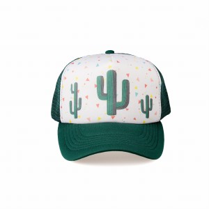 1_cactus_large_cap.jpg
