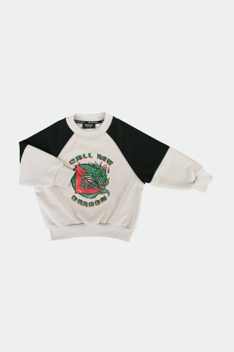 DRAGON SWEATSHIRT.jpg