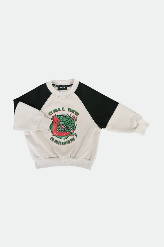 DRAGON SWEATSHIRT.jpg