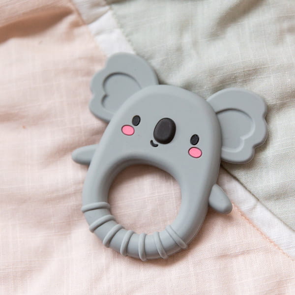 gryzak koala2.jpg